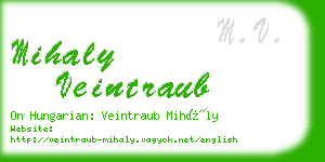 mihaly veintraub business card